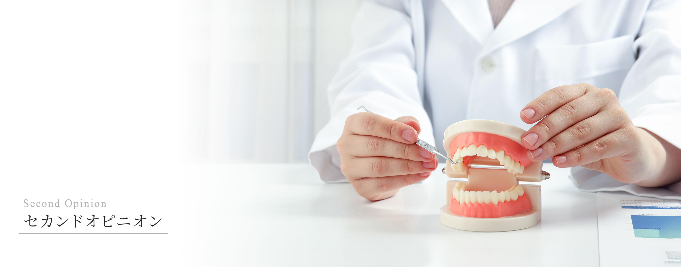 キービジュアル