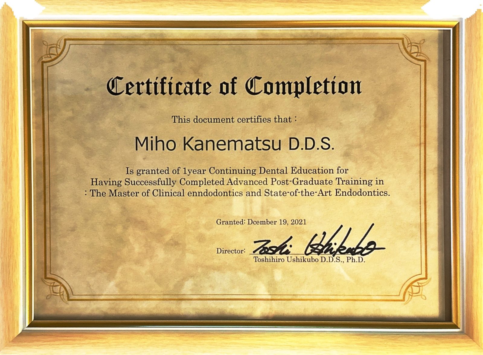 サティフィケイト